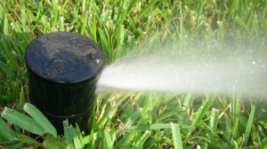 a spray head we used for a sprinkler repair in Santa Rosa CA 